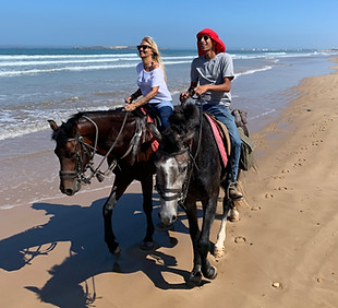 Randonnée à cheval sur la plage d'Essaouira au Maroc