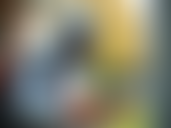 Peyton Pest Solutions: Your Trusted Partner for Pest Control in Vero Beach