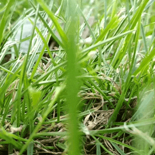 20200808_223426 (1).gif