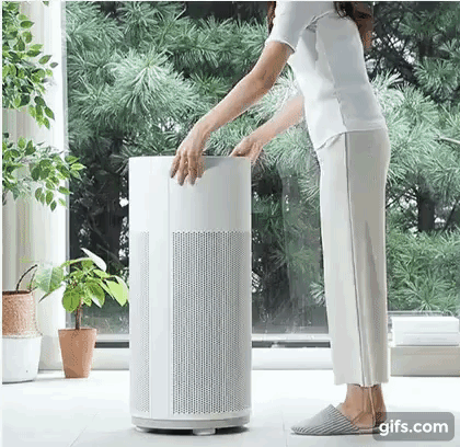 gif (4).gif