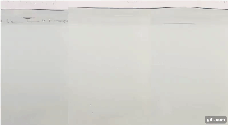 gif (1).gif