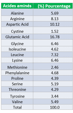 proteine shampoing solide cheveux boucles