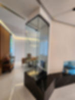 custom-glass-fireplace-enclosure-modern-living-room.jpeg