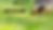 Golf Tournaments Banner Home page date hour location availability June 15.png