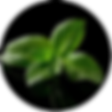 806_oooo.plus.png