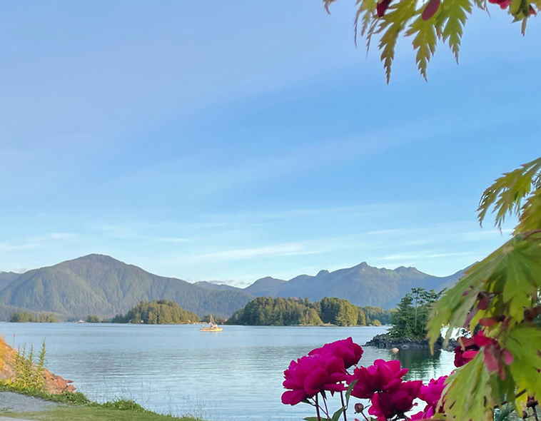 Scenic Sitka Alaska view: mountains, water, boat
