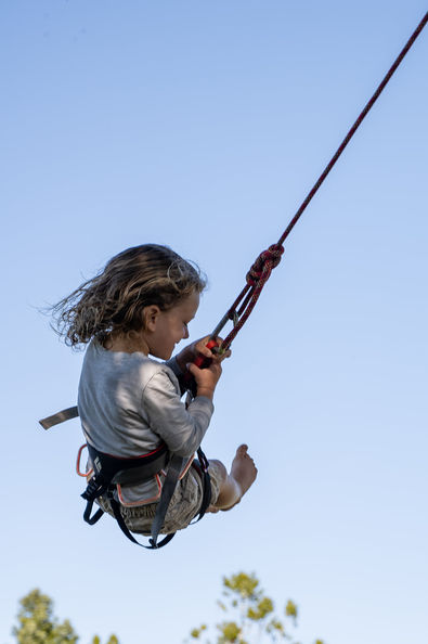A kid swings in a tree swing