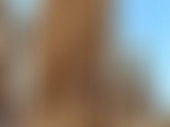 The Place of the First Occasion