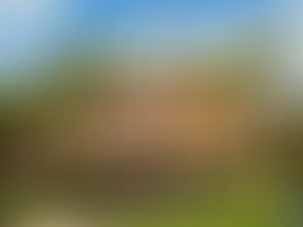 Educação Executiva para empresas