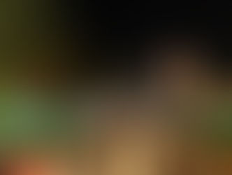 16º Jantar Sob as Estrelas