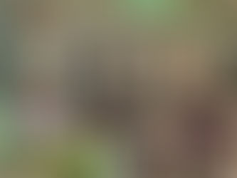 Novo hair spa propõe beleza limpa