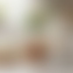 Aprenda a fazer doce de leite, iogurte e queijo com até 3 ingredientes