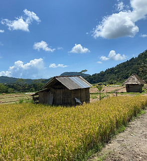 IMG_0094.jpeg