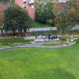 Rålambshovsparken kan hantera stora mängder framtida regn med sin skyfallsdamm. Foto: Jens Aronsson