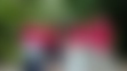 En helg full av möten: Natalia på volontärutbyte i Valencia