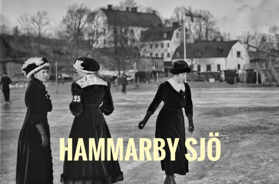 Historisk stadsvandring Hammarby sjö