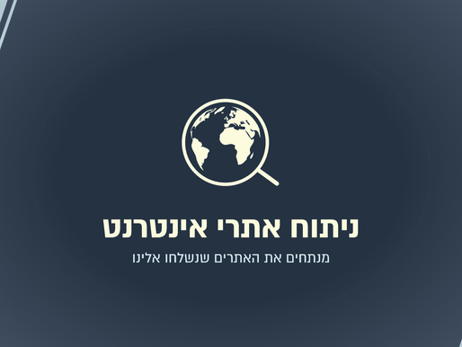 ניתוח ביצועי אתר אינטרנט לייב - אתם שולחים, אני מנתח.