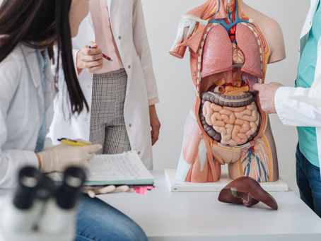 How to Develop a Healthy Gut