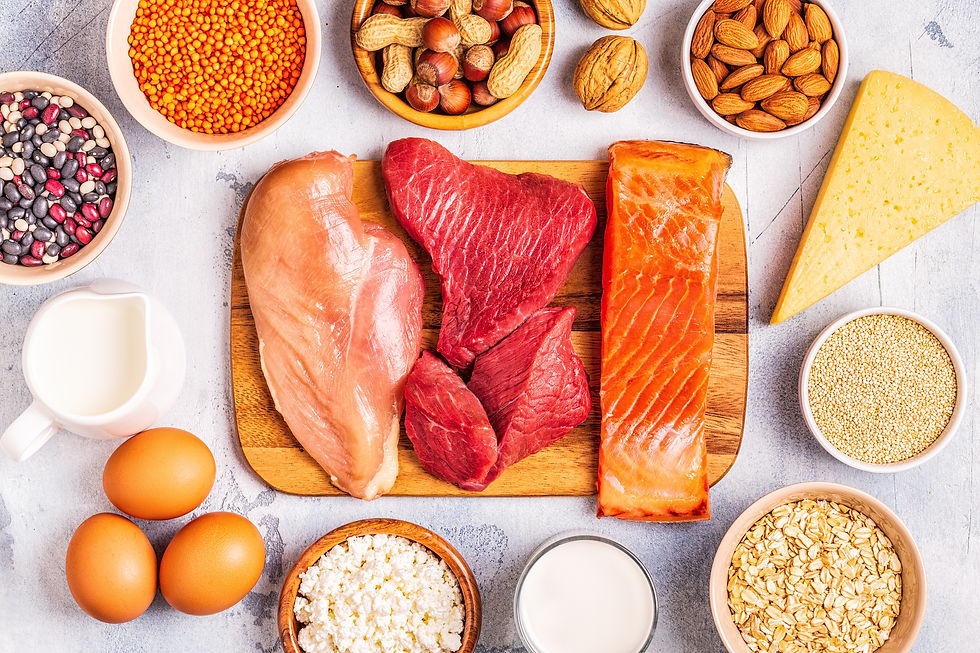 A variety of high-protein foods from plant and animal sources including legumes, nuts, cheese, grains, milk, cottage cheese, eggs, poultry, meat, and fish.