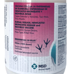 Miniatura: BREEDERVAC IV PLUS