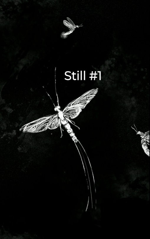 Thumbnail: Poster: Lovesong of a Mayfly