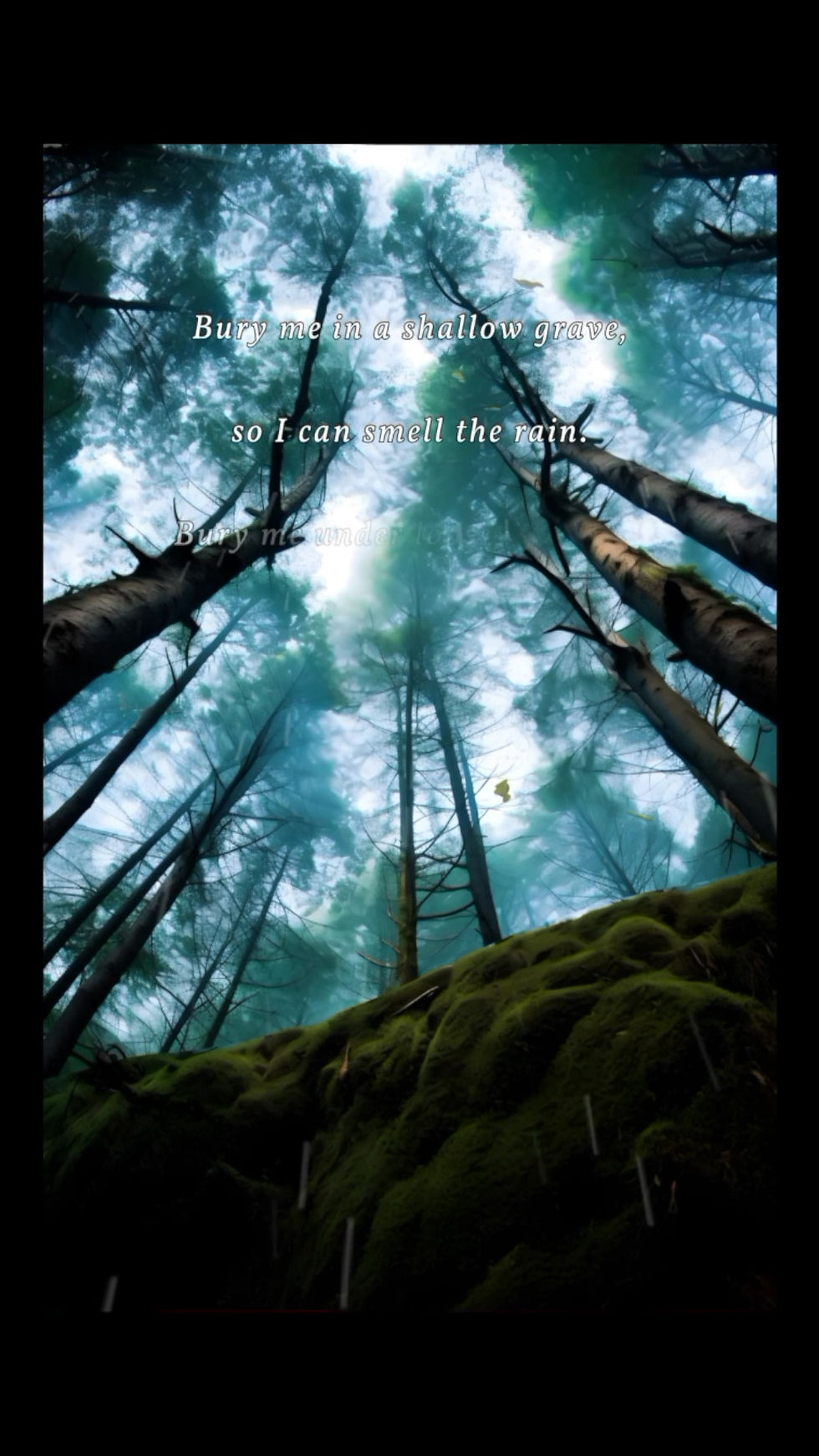 Thumbnail: Poster: Autumnal Reflection