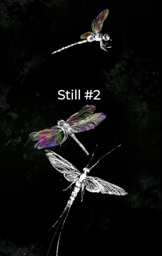 Thumbnail: Poster: Lovesong of a Mayfly