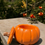 Thumbnail: 6pc Pumpkin Candle Vessel
