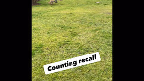 Training Should Be FUN!