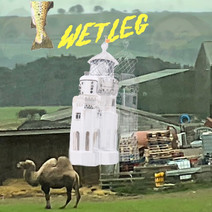 untitled image