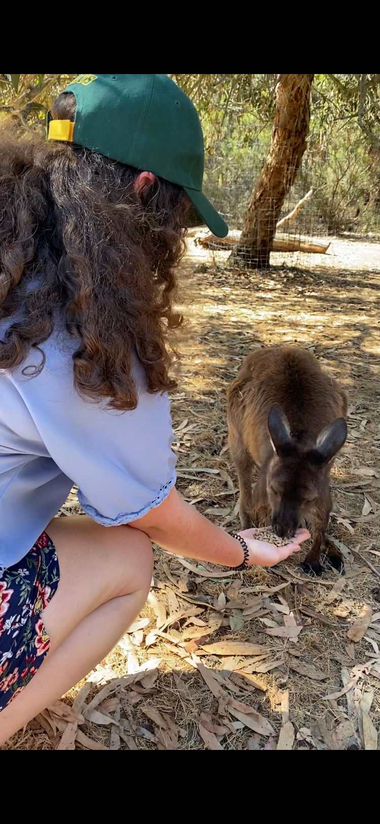 Straya (feat. New Zealand)