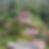 Miniatura: 🔹SE VENDE FINCA CAMPESTRE🔹