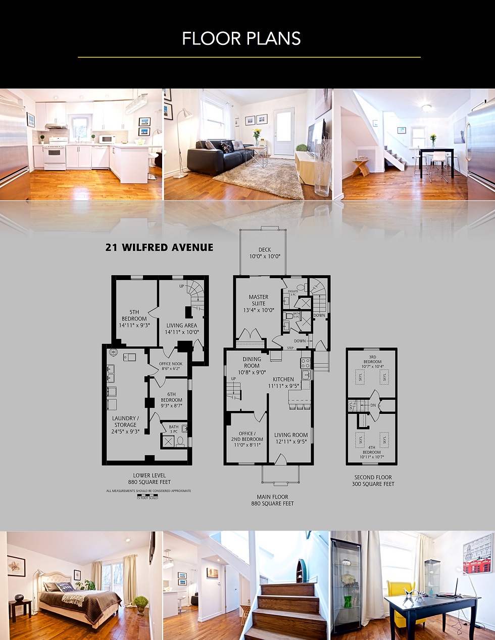 21 WILFRED BROCHURE 3