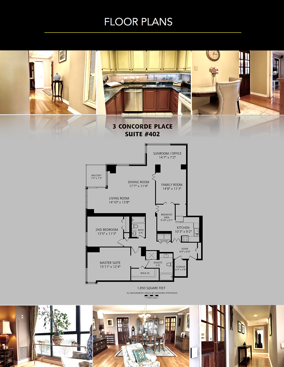 BROCHURE 3