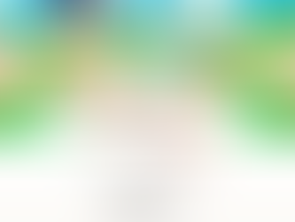 MEDI PALETTE（株式会社ロッテ様）にてのコピー