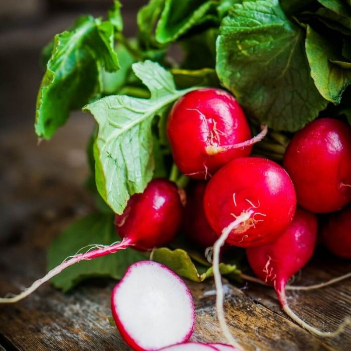 Bulk Radish Seeds - "Cherry Belle"