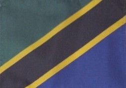 Flags Of Africa - Tanzania