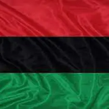 Crowdfunding and Controversy: Examining Dr. Umar Johnson’s Online Fundraising Efforts