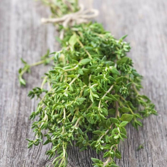 Bulk Thyme Seeds