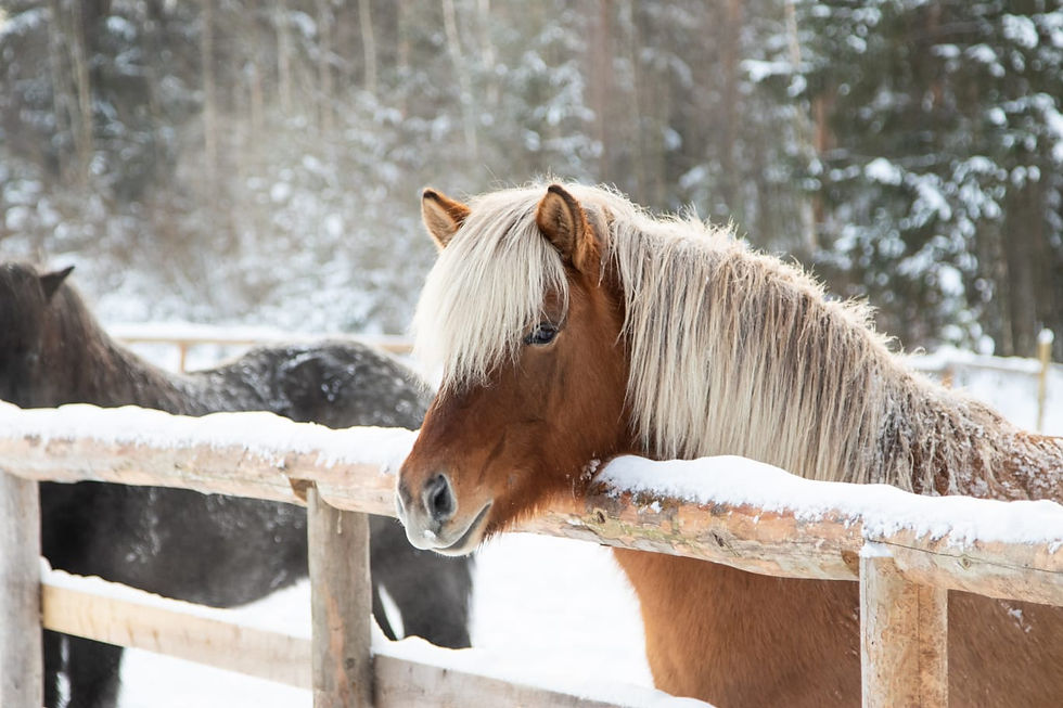 IMG-20221014-WA0107 (1).jpg