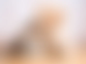 残暑お見舞い申し上げます