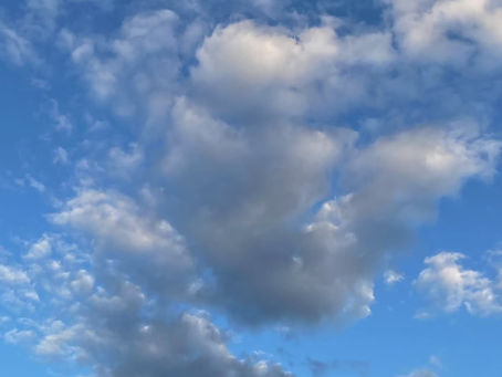 今年もあと半月