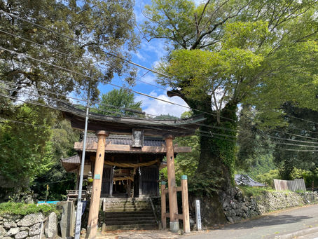 まだまだ残暑厳しいですね。。。