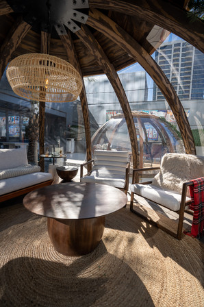 Igloos in Austin Texas