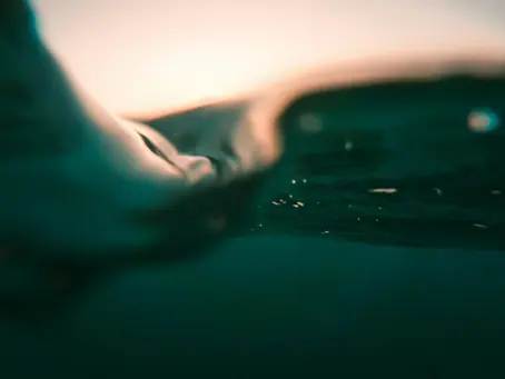 ¿Por qué Liquid Sport?