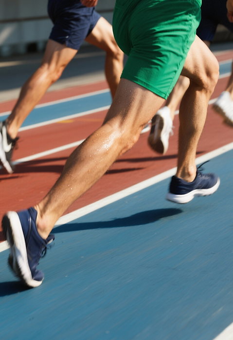 Planes de entrenamiento para todos los niveles