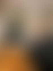 Cozy Boho Living Space