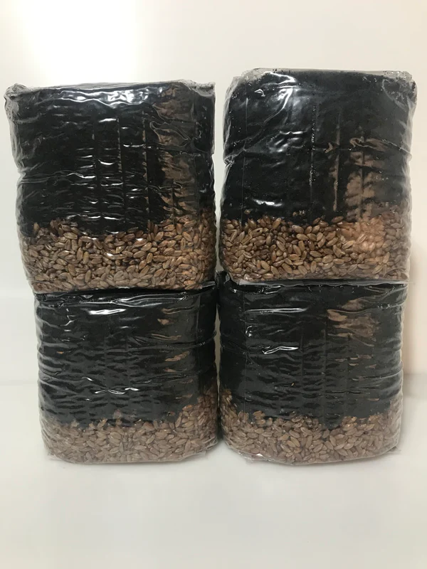 Mushroom Grow Kit 4 Pack All In One Grow Bags Platinum Seeds