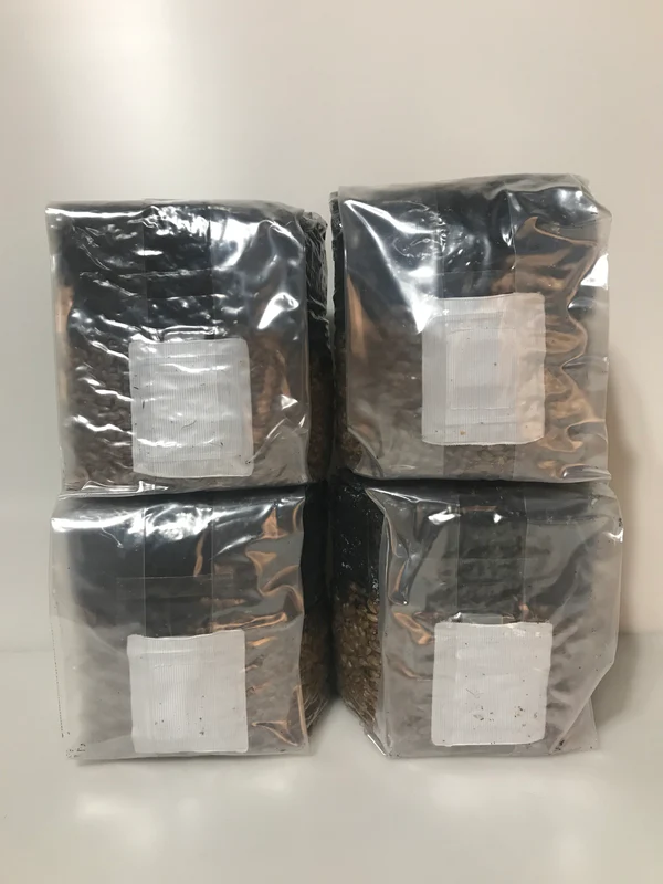 Mushroom Grow Kit 4 Pack All In One Grow Bags Platinum Seeds