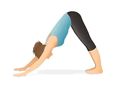 downward dog pose.webp